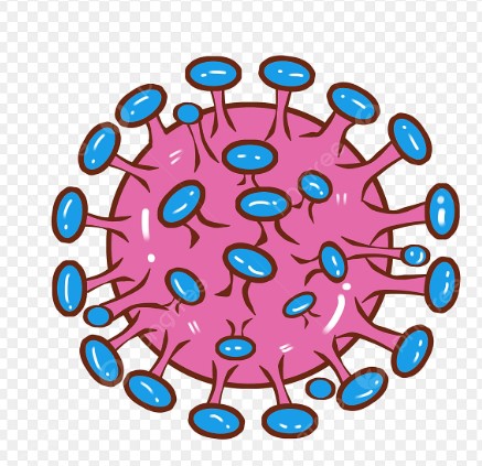 Benign vs Malignant Tumors